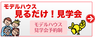 見るだけ見学会